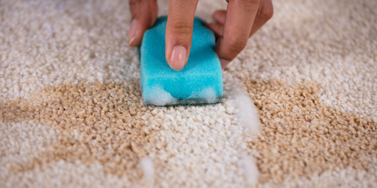 Surprising Uses for Dawn in Home Cleaning Beyond Dishes